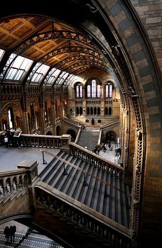 Natural Museum of History, London Natural History Museum London, Magic Places, Uk Destinations, Natural History Museum, London Town, British Library, History Museum, Beautiful Architecture, British Museum