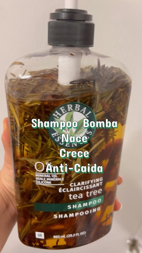 Karla Carval on Reels | Global Genius · Half The Way Home Shampoo Bomba, Healthy Natural Hair Growth, Tea Tree Shampoo, Hair Growing Tips, Hair Growth Shampoo, Regrow Hair, Healthy Natural Hair, Hair Solutions, Hair Remedies