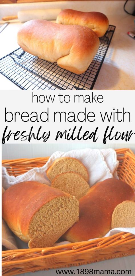 Learn how to make homemade bread with step-by-step instructions with one of my favorite recipes. The ingredients make up this wholesome, delicious loaf! Freshly milled flour recipes. Freshly milled flour bread. Baking with freshly milled flour. Milled Flour Recipes, Wheat Berry Bread Recipe, Wheat Flour Bread Recipe, Wheat Berry Recipes, Bread Flour Recipe, Make Homemade Bread, Homemade Whole Wheat Bread, Wheat Flour Recipes, Einkorn Recipes