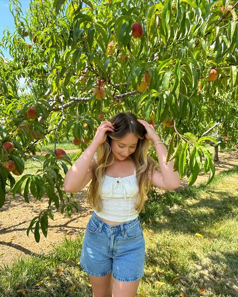 A day at the orchard🍑🌻☀️ It’s been super hot here in NJ, but that didn’t stop me from going peach picking over the weekend😅 Love doing pick-your-own activities in the summer! Visited @melickstownfarm in Califon for peach picking, and peak picking season will be the end of July into early August☺️ We even came across a few sunflowers while making our way to the peach trees🌻 Photos 1&2 by @visualsbyandrew 📸 Happy summer☀️ #njblogger #newjersey #njthingstodo #njfarms #nj #northjersey #centr... Peach Picking, Trees Photos, Peach Trees, Photo Tree, Happy Summer, Peaches, The Weekend, Instagram A, The End