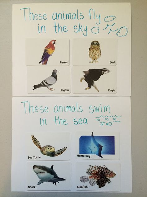 Bible Truth:  God created birds and fish. Bible Story:   God created all kinds of birds to fly in the air, and all kinds of fish to swim in... Toddler Sunday School, Bible Story Crafts, Days Of Creation, Church Nursery, Teaching Toddlers, Yellow Room, Creation Story, Lion Fish, Science Ideas