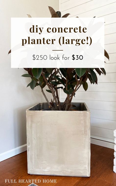 Diy Planter Outdoor, Cheap Large Planters Diy, Diy Big Planters Pots Outdoor, Large Planter Pot Ideas, Diy Large Flower Pots, Diy Large Planters Indoor, Diy Cute Planters, Diy Big Planters Pots Indoor, Making Concrete Planters