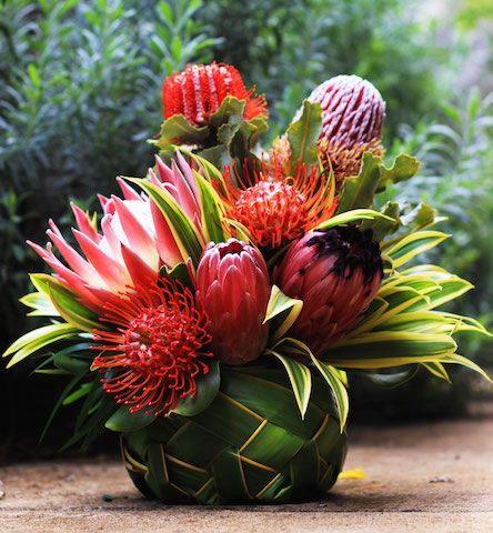 Protea Arrangements, Hawaiian Flower Arrangements, Valentine's Flowers, Summer Arrangements, Basket Arrangement, Coconut Flower, Tropical Floral Arrangements, Tropical Flower Arrangements, King Protea