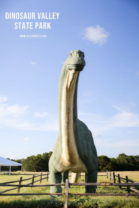 Dinosaur Valley State Park, Dinosaur Family, Glen Rose, Adventure Journal, Pinterest Friends, Visit Texas, Road Trip Places, Texas Forever, Family Movie Night