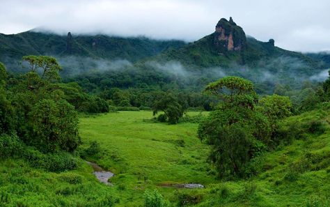 Bale Mountains Ethiopia, Oromia Ethiopia, Ethiopian Highlands, Visiting Africa, Ethiopian Wolf, Visit Africa, Coffee Farm, World Wallpaper, Hidden Beauty