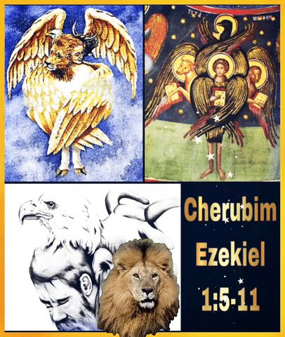 Cherubim are described (at some length) in the Book of Ezekiel.  In Ezekiel 1:5–11, they are described as having the likeness of a man, and having four faces: that of a man, a lion (on the right side), and ox (on the left side), and an eagle. Ox, Eagles, Lion, Graphic Art, Art Photography, Jesus, Art