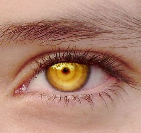 Yellow Iris Eye, Iris Eye, Golden Eyes, Magic Eyes, Aesthetic Eyes, Eye Makeup Art, Gold Eyes, Fantasy Aesthetic, Yellow Eyes