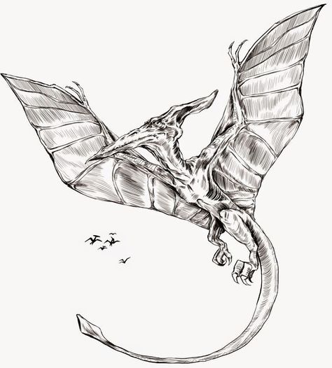 Pterodactyl Drawing, Pterodactyl Tattoo, Dinosaur With Wings, Angel Devil Tattoo, Simple Line Drawing, Cartoon Sketch, Cool Tattoo Drawings, Dinosaur Tattoos, Military Tattoos