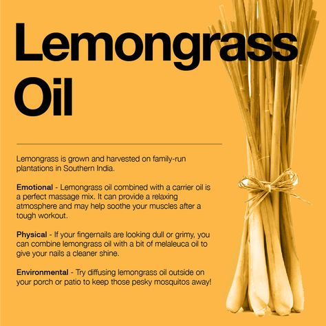 Lemongrass Witchcraft, Melaleuca Oil Uses, Backyard Herbs, Oils And Their Uses, Herbal Skincare, Cypress Oil, Herbs Garden, Healing Mantras, Essential Oils Guide