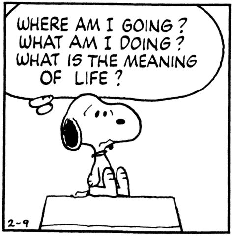 THE MEANING OF EVERYTHING | SERENDIPITY Existential Therapy, Peanuts Quotes, Charlie Brown Quotes, Am I Dreaming, Midlife Crisis, The Meaning Of Life, Snoopy Quotes, Mid Life Crisis, Life Quotes Love