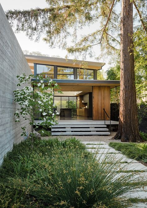 Feldman Architecture lifts The Sanctuary house above Silicon Valley site Sanctuary House, Board Formed Concrete, Storey Homes, Casa Exterior, Minimal Home, Urban Oasis, Architecture Photo, Modern Exterior, Design Milk