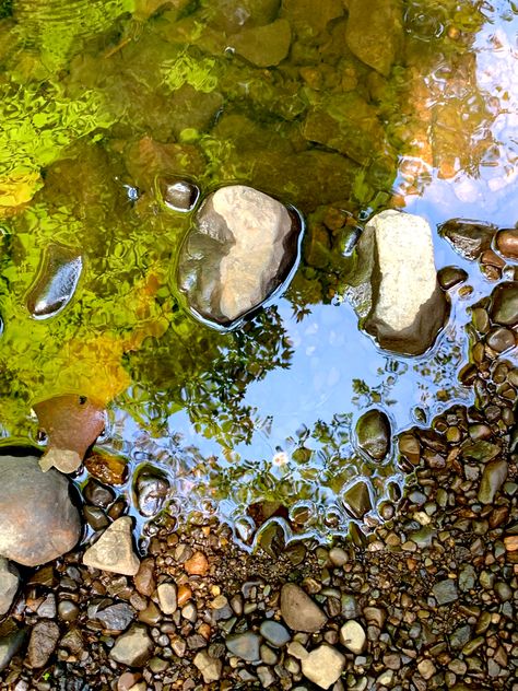 Art Reference Nature, Rock Reference Photo, Art Reference Photos Aesthetic Nature, Nature Artists, Rock And Pebbles, River Rocks, Aesthetic Nature, Water Reflections, 수채화 그림