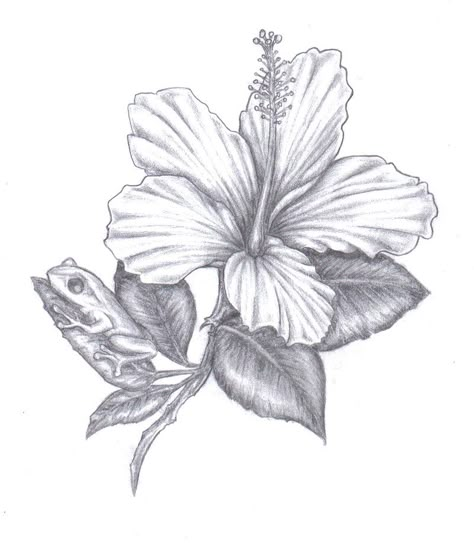 This would be a cute tattoo. Female Back Shoulder Tattoos, Jamaican Flower Tattoo, Amapola Tattoo Puerto Rico, Puerto Rico Tattoo Ideas For Women, Puerto Rican Flower Tattoo, Puerto Rican Tattoos For Women, Amapola Tattoo, 2007 Tattoo, Boricua Tattoos