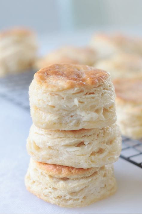 Self rising flour, butter, and milk. That's all you need to bake up delicious, flaky, layered 3 ingredient biscuits. Baked until golden then generously coated in melted butter. Make a dozen with our easy recipe! Milk Butter Flour Biscuits, Easy Self Rising Flour Biscuits, 4 Ingredient Biscuits, No Rise Biscuits, Angel Biscuits With Self Rising Flour, Buttermilk Biscuits Self Rising Flour, Biscuit Recipe With Self Rising Flour, Self Rising Flour Biscuits, Self Rising Biscuits Recipe