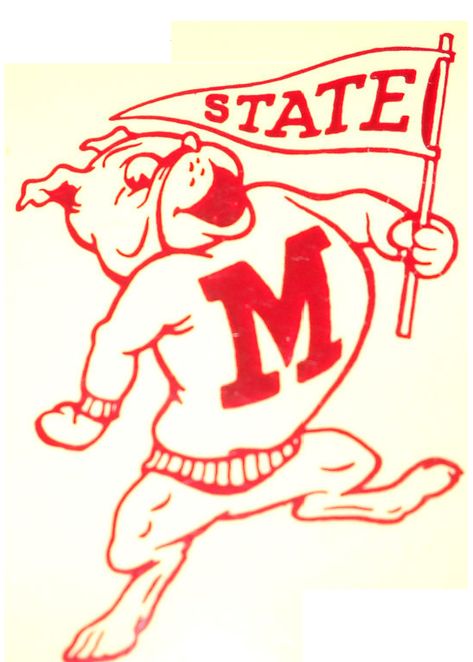 Sports Mascot Design, Vintage Mascot, College Mascot, Mascot Logos, Bear Artwork, Bulldog Mascot, Sport Banner, Vintage College, Retro Sports