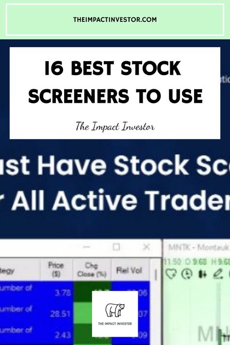 Whether you’re into day trading or long-term investing, finding the best stock screener for your unique style is essential. With thousands of different stocks on the U.S. exchanges alone, stock scanners can save you a Impact Investing, Stock Screener, Option Trader, Automated Trading, Learning Materials, Pineapple Smoothie, Swing Trading, Stock Charts, Investing In Stocks