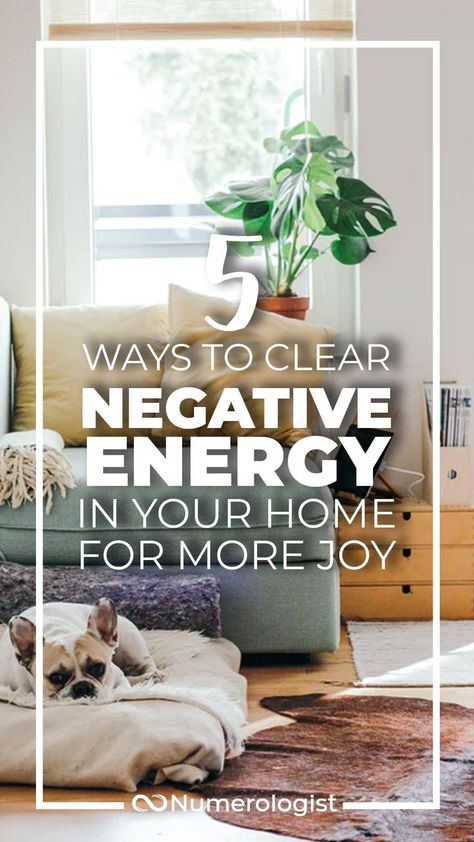 Ways To Cleanse Your Home, Home Energy Cleanse, Energy Cleanse Home, Earth Creature, Cleanse Your Home, Negative Energy Cleanse, Cleansing Rituals, How To Feng Shui Your Home, Releasing Negative Energy