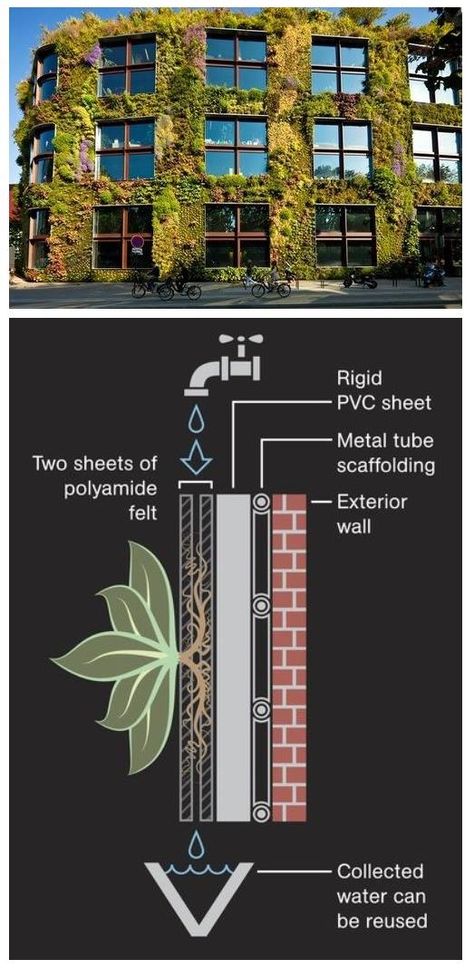 Vertical Garden Plants, Green Facade, Green Walls, Green Architecture, Wall Garden, Living Wall, Sustainable Architecture, Green Roof, Landscape Walls