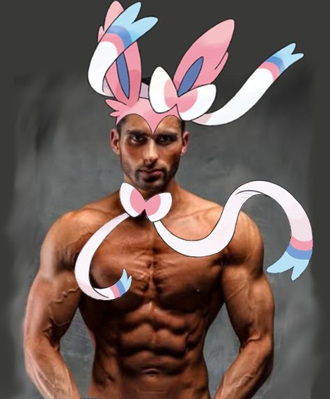 Male Sylveon, Sylveon Meme, Cursed Pokemon Images, Eeveelutions Pfp, Vapeon Pokemon, Glaceon Human, Aron Pokemon, Leafeon Icon, Sylveon Pfp