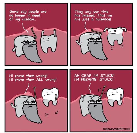 Wisdom teeth humor Wisdom Teeth Meme, Dental Funny, Impacted Wisdom Teeth, Teeth Humor, Awkward Yeti, The Awkward Yeti, Tooth Cartoon, Dental Jokes, Dental Fun