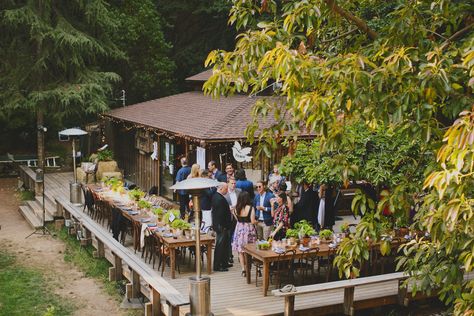 Henry Miller Library Henry Miller Library, Elegant Outdoor Wedding, Secret Wedding, Library Wedding, Henry Miller, Wedding Mood, Wedding Board, Style Me Pretty, Be Happy