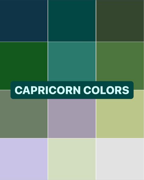 AstraBrand® color palettes for Libra, Scorpio, Sagittarius, Capricorn, Aquarius & Pisces My process: 1️⃣ I review your chart and specifically look at placements that will help you feel self-expressed in your brand, attract clients, and build the legacy of a lifetime aka your empire 2️⃣ The brand keywords that are associated with each sign are then weaved together to create your own unique brand essence 3️⃣ I apply design theory to your brand keywords to create your colors, fonts (logos an... Cancerian Color Palette, Capricorn Colours, Capricorn Color Palette, Capricorn Colors, Aquarius Colors, Brand Keywords, Leo Mars, Paisley Jewelry, Brand Essence