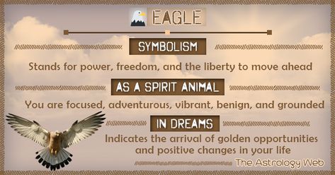 Eagle Symbolism Spirit Animal Dream Eagle Symbolism Meaning, Spirit Animal Eagle, Eagle Spirit Animal, Eagle Symbolism, Spirit Animal Tattoo, Animal Totem Spirit Guides, Eagle Symbol, Spirit Animal Meaning, Animal Tarot