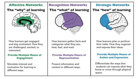 Universal Design for Learning - The K-12 Educational Technology Handbook Brain Based Learning Strategies, Udl Classroom, Reading Strategies Anchor Charts, Universal Design For Learning, Life Strategy, Brain Based Learning, School Counseling Lessons, Psychology Studies, Counseling Lessons