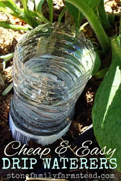 Slow Watering Plants Drip Irrigation, Garden Ideas Long, Self Watering Bottle, Diy Self Watering Planter, Container Gardening Ideas, Plant Watering System, Garden Watering System, Backyard Garden Diy, Vegetable Patch