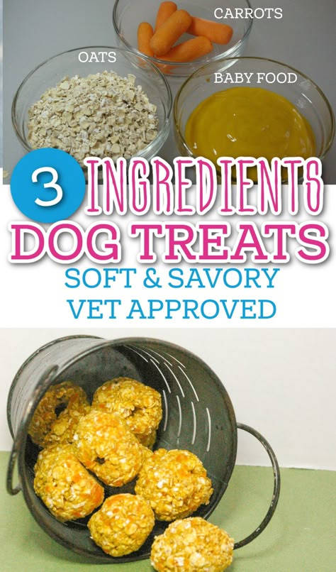 3 Ingredients Soft and Savory Dog Treats, Vet Approved Safe And Toxic Foods For Dogs, Soft Dog Treats For Senior Dogs, Soft Treats For Dogs With No Teeth, Air Fried Dog Treats, Carrot Cake Dog Treats, Soft Puppy Treats Homemade, Homemade Dog Treats For Joints, Homemade Grain Free Dog Food, Baby Food Dog Treats Recipes