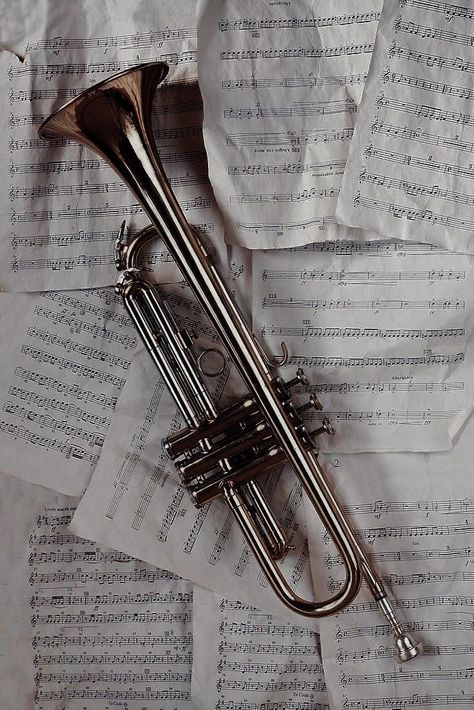 Dark Academia Music, Jazz Trumpet, Trumpet Music, Trumpet Players, Band Photography, Band Kid, Amazing Gifts, Trumpets, Music Aesthetic