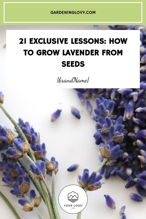 Cover for a guide on growing lavender from seeds, featuring fresh lavender sprigs. How To Grow Lavender, Seeds Paper, Grow Lavender, Lavender Seeds, Welcome To My Garden, Growing Lavender, Garden Paradise, Urban Gardens, Lavender Farm