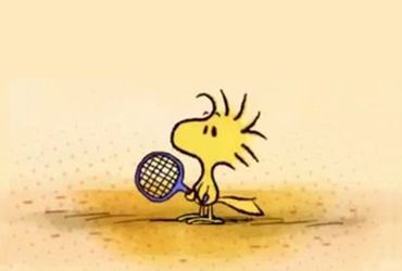 Woodstock Peanuts Birds Wallpaper, Woodstock Art, Snoopy Tennis, Woodstock Bird, Charlie Brown Wallpaper, Woodstock Charlie Brown, Woodstock Snoopy, Woodstock Peanuts, Snoopy Images