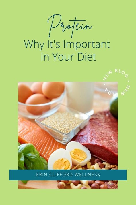 Why Protein is Important in Your Diet Foods Rich In Protein, Why Protein, Shakes Protein, Rich Recipes, Recipes Protein, Sources Of Protein, Protein Rich Foods, Protein Diets, Protein Supplements