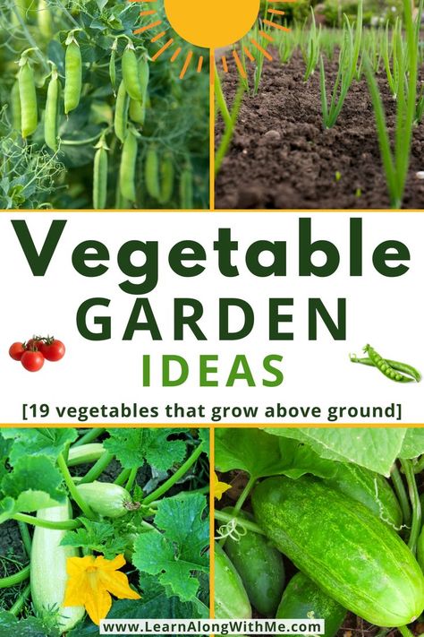 Want to grow some of your own food?  Here are 19 vegetables that grow above ground.  Will some of these work at your home? 

If you're needing some vegetable garden ideas you can check out this article and see what inspires you.

What vegetables does your family like to eat? (Or which vegetables do you want them to eat more of?  Home grown veggies usually taste way better.)
What will grow in your climate?  Do you have a long enough, or warm enough growing season to grow these?
Check it out.. Vegetables Names With Pictures, Tall Potted Plants, Above Ground Garden, Growing Vegetables At Home, Ground Garden, Vegtable Garden, Diy Backyard Fence, Raised Garden Bed Plans, Home Vegetable Garden