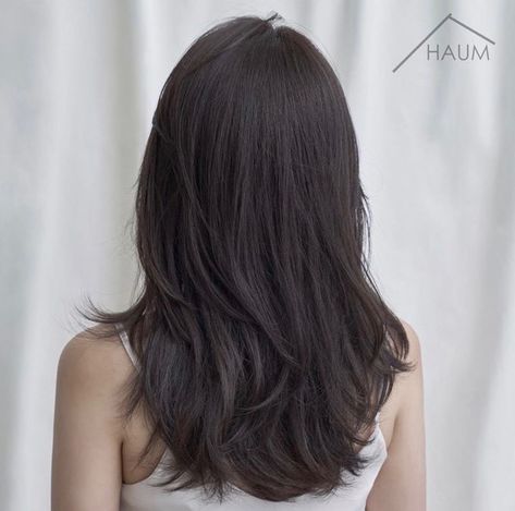 Medium Length Hair Inspo Straight, Korean Haircut Medium Layered Straight, Asian Haircut Medium Layered Straight, Volume Layer Haircut U Shape Medium, Long Hair Layers Asian, Hair Cuts Ideas Medium Straight, Layered Asian Hair Medium, 2 Layer Haircut Medium, Asian Hair Layers Medium