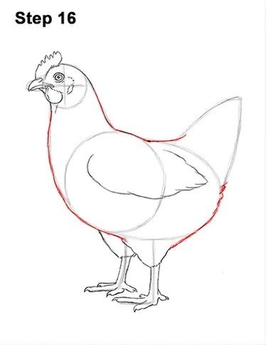 Simple Chicken Drawing, Draw A Chicken, Vogel Silhouette, Chicken Drawing, Chicken Crafts, Chicken Painting, Simple Chicken, Hen Chicken, Chicken Art