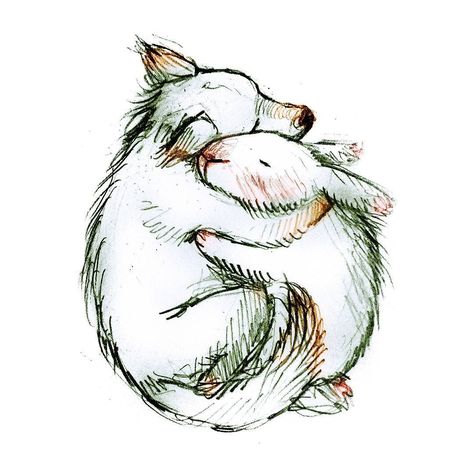 #sketch #art #drawing #bunny #wolf #fluff #hugging #animalart #cute #illustration #instaartist #piirustus #pupu #susi #kuvittaja Drawing Bunny, Tea Cup Drawing, Tattoo Board, Rabbit Tattoos, Baby Wolf, Kawaii Tattoo, Sketch Style, Rabbit Art, Bunny Art