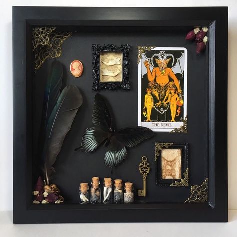 Oddities And Curiosities, Shadow Box Ideas, Oddities Decor, Halloween Shadow Box, Witchy Room, Strange And Unusual, Taxidermy Art, Bone Crafts, Dark Home Decor