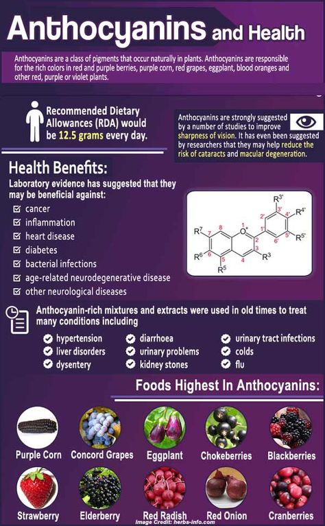 Anthocyanins and health Excellent Health, Purple Corn, Mineral Nutrition, Health Zone, Tomato Nutrition, Calendula Benefits, Fruit Health Benefits, Matcha Benefits, Lemon Benefits