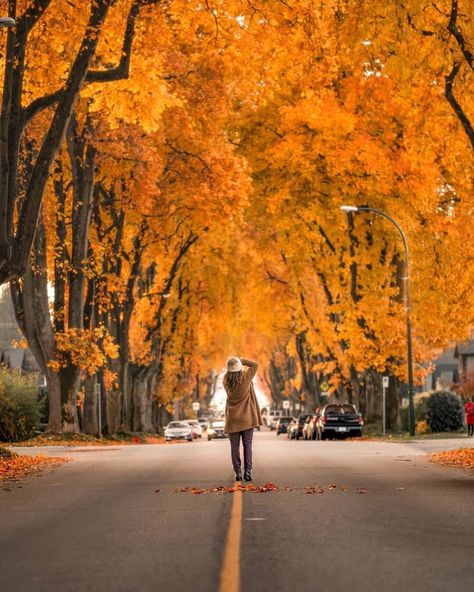 Autumn City, Canada Vancouver, Vancouver Bc Canada, Its A Mans World, Autumn Scenery, Nice France, Napoleon Hill, Bc Canada, Vancouver Canada