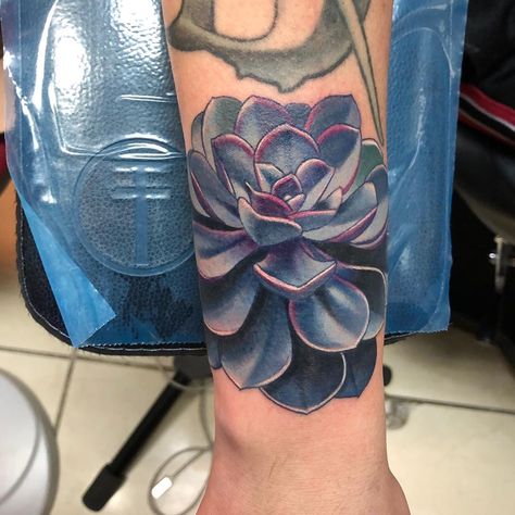 Succulent Tattoos, Succulent Tattoo Ideas, Wilderness Tattoo, Plant Tattoos, Succulent Tattoo, Cobra Tattoo, Purple Succulents, X Tattoo, O Tattoo