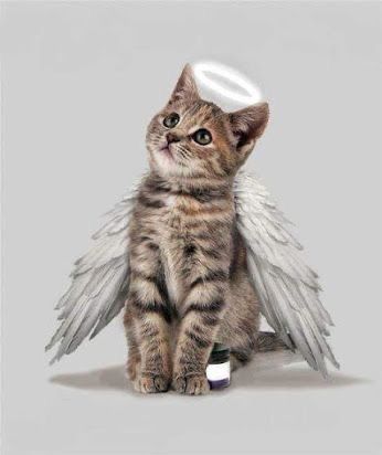 Pet Prayers, Cat Lego, Gato Angel, Animal Poems, Cat Heaven, Pet Sympathy Cards, Cat Loss, Tabby Cats, Cats Rule