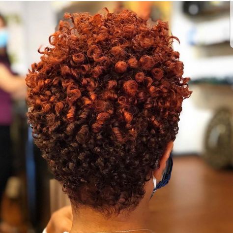 Fall Hair Color Black Women, Curly Twa, Natural Hair Styles Short, Natural Tapered Cut, Rod Curls, Coiling Natural Hair, Natural Haircuts, Twa Styles, Curly Natural Hair