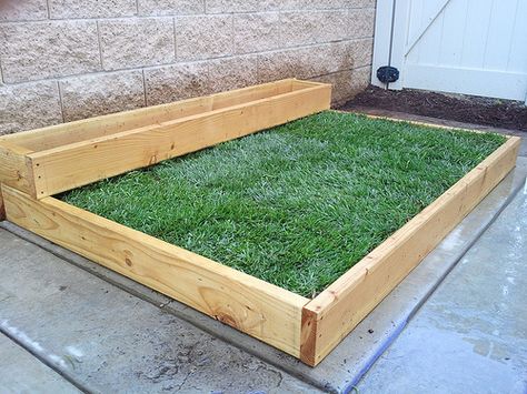 DIY: Grass over concrete  http://changingmydestiny.wordpress.com/2011/09/27/planting-grass-on-concrete-part-1/ Grass Pad For Dogs, Grass Over Concrete, Dog Potty Patch, Dog Run Ideas, Diy Dog Run, Pasto Natural, Backyard Dog Area, Dog Potty Area, Planting Grass