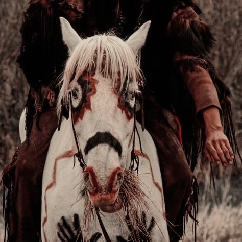 Rick And Michonne, Indian Colours, Horse Costumes, Royalty Aesthetic, Art Appliqué, She Wolf, Creature Feature, Cute Horses, Native American Culture