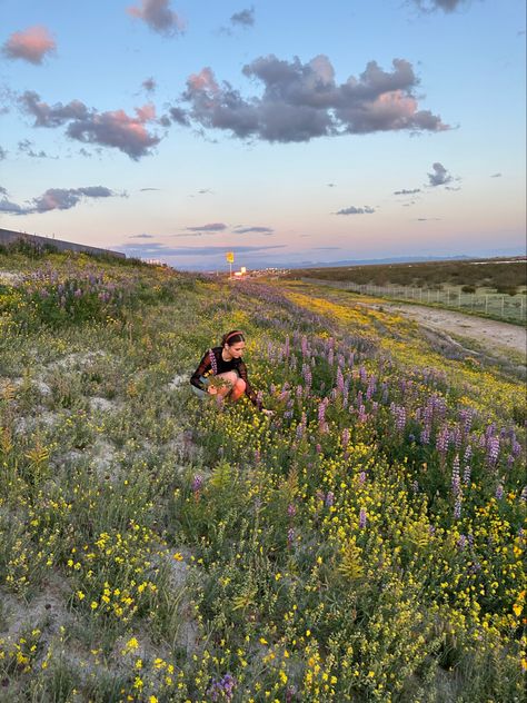 Wild Flower Picking, Picking Flowers Aesthetic, Wildflower Picking, Jenna Core, Summer Visionboard, Picking Wildflowers, 2024 Books, Flower Picking, Online Scrapbook