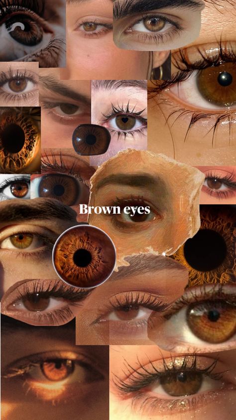 People With Brown Eyes When The Sun, Brown Eye Types, Reddish Brown Eyes, Aesthetic Brown Eyes, Eye Shape Chart, Amber Eyes Color, People With Brown Eyes, Pretty Eyes Color, Different Types Of Eyes