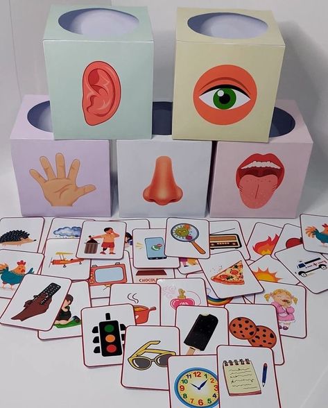 The Five Senses Kindergarten, Senses Kindergarten Activities, Senses Activities For Kindergarten, Five Senses Activities For Preschoolers, Five Senses Preschool Activities, Emotion Activities For Preschool, Senses Activities Preschool, Five Senses Craft, 5 Senses Kindergarten