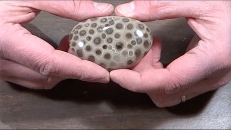 How To Polish Rocks, Petosky Stone, How To Make Rocks, Pudding Stone, Rock Tumbling, Rock Tumbler, Rocks And Fossils, Petoskey Stone, Stone Crafts